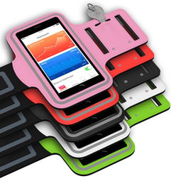 开云首页登录-智能体育设备用户使用行为分析，智能体育装备